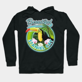 Staniel Cay Travel logo Hoodie